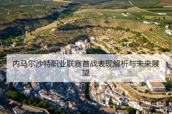 内马尔沙特职业联赛首战表现解析与未来展望